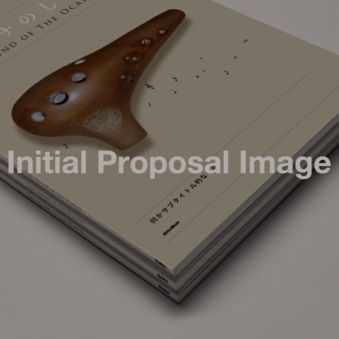 Initial Proposal Images