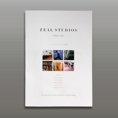 Zeal Studios _brochure